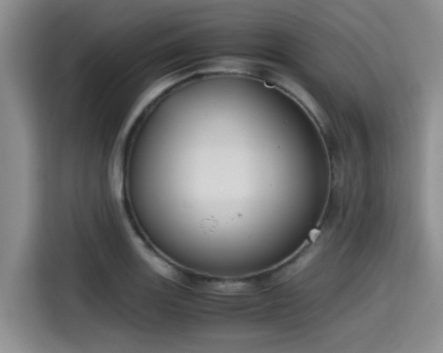 X0000115391131200911101447