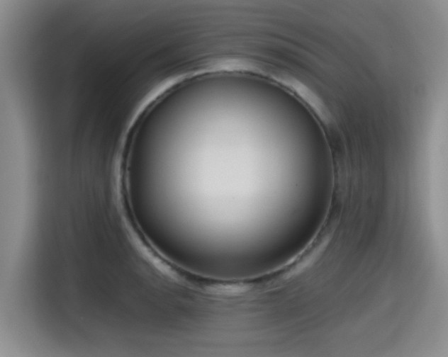 X0000115391134200911101447