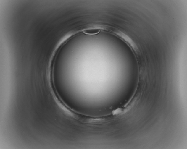X0000115391135200911101447