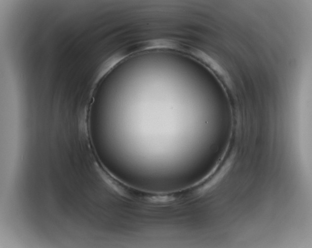 X0000115391137200911101447