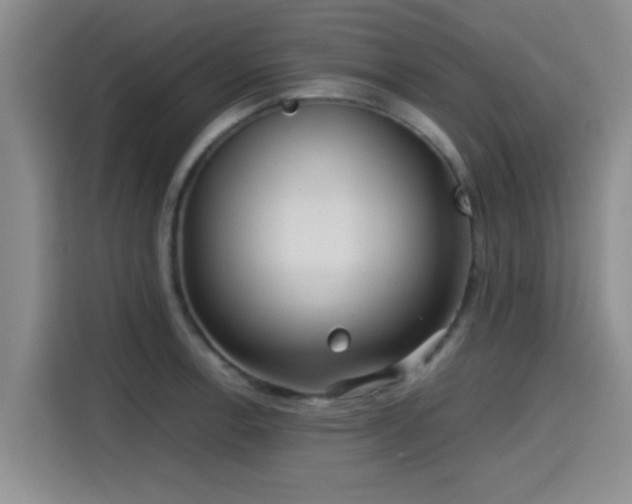 X0000115391138200911101447
