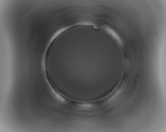X0000115391141200911101447