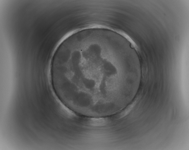 X0000115391142200911101447