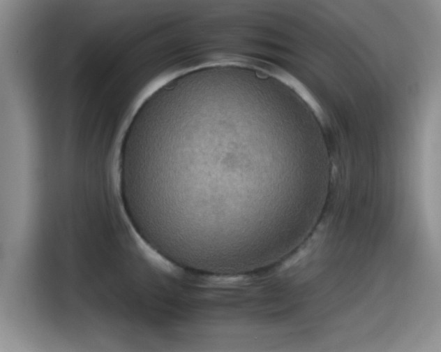 X0000115391143200911101447