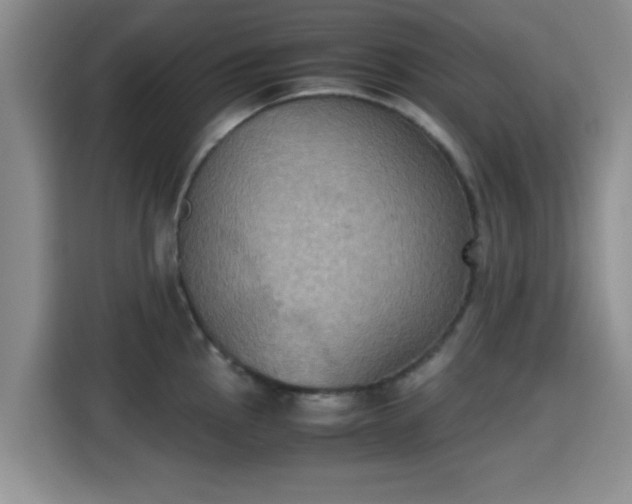X0000115391145200911101447