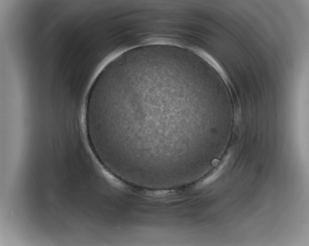 X0000115391149200911101447