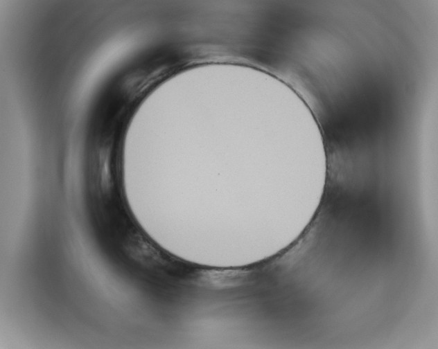 X0000115391150200911101447