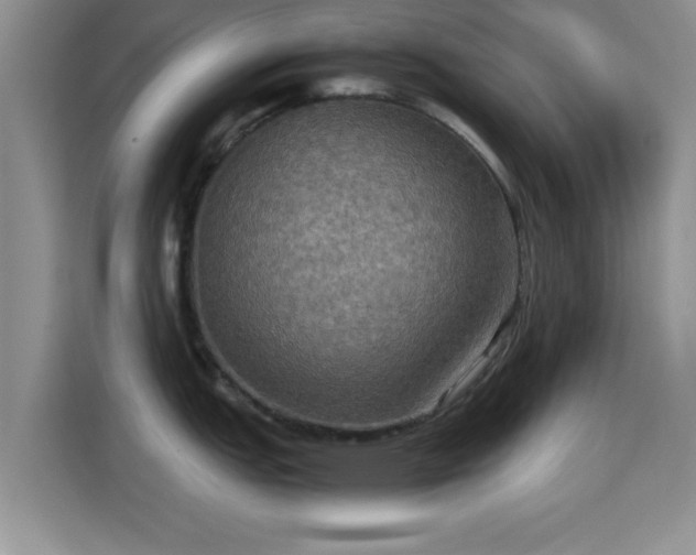 X0000115391151200911101447
