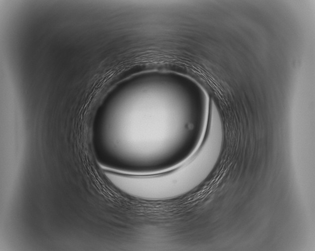 X0000115391153200911101446