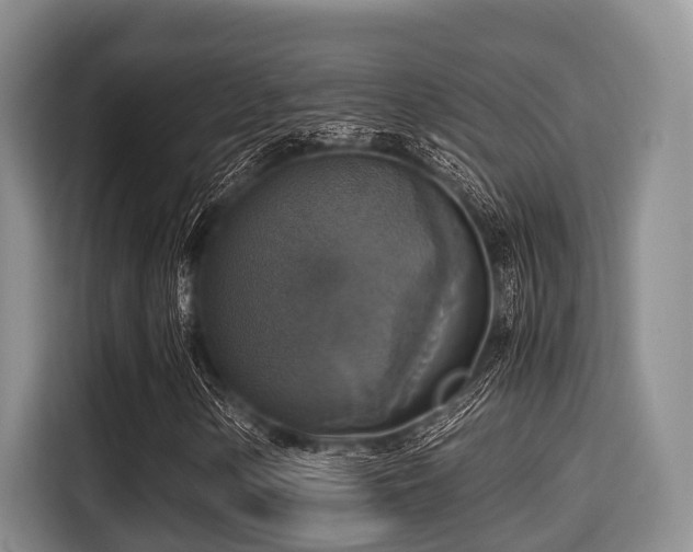 X0000115391154200911101446