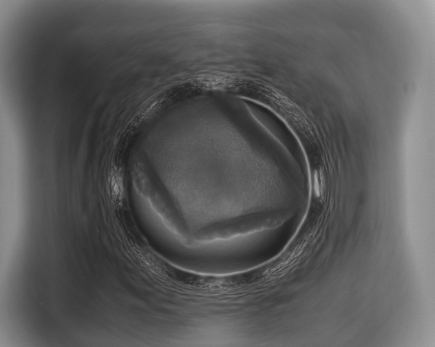 X0000115391155200911101446