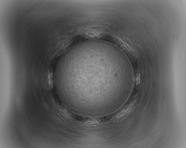 X0000115391156200911101446