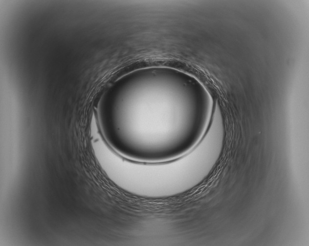 X0000115391157200911101446