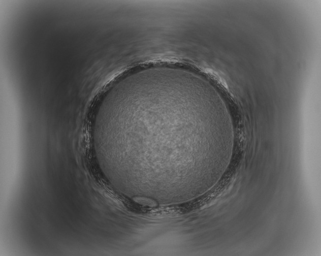 X0000115391159200911101446