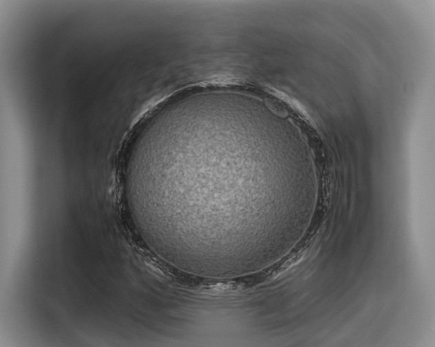 X0000115391160200911101446