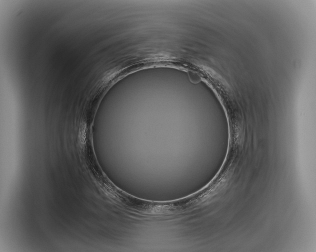 X0000115391161200911101446