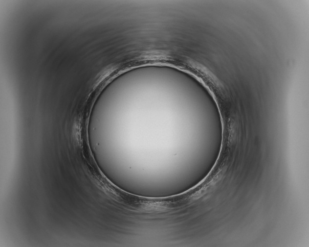X0000115391162200911101446