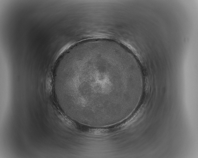 X0000115391163200911101446