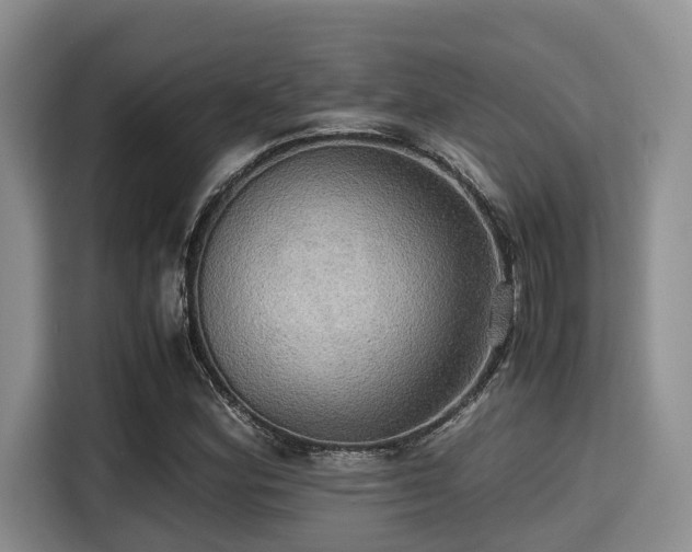 X0000115391164200911101446