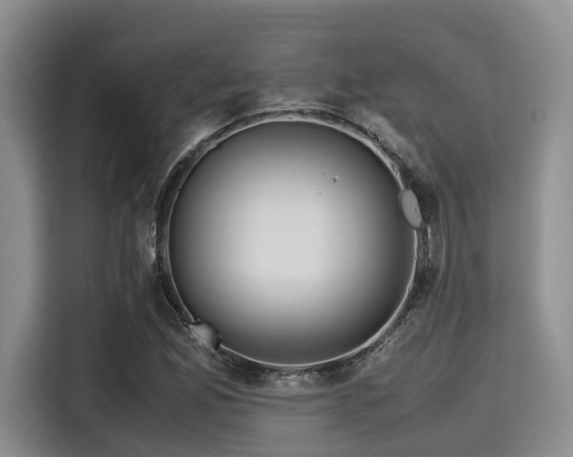 X0000115391165200911101446