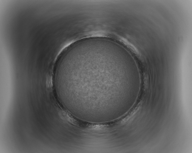 X0000115391166200911101446