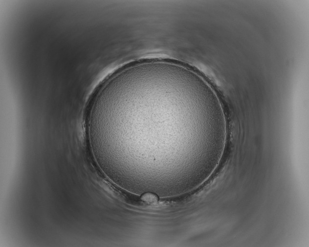 X0000115391167200911101446