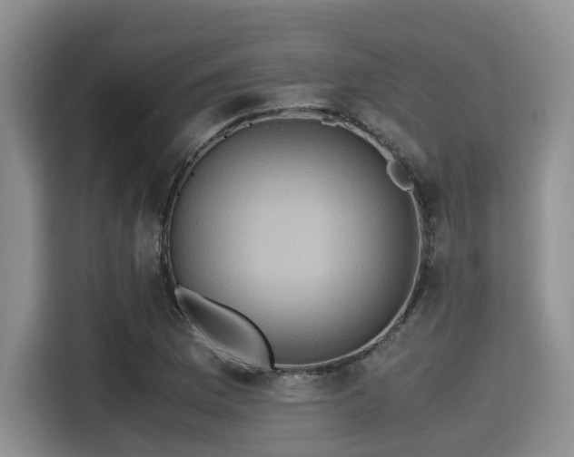 X0000115391169200911101446