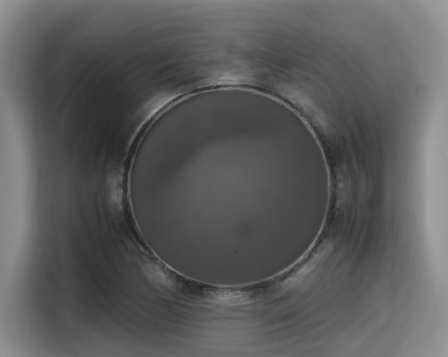 X0000115391170200911101446