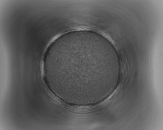 X0000115391171200911101446