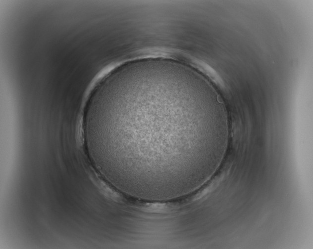 X0000115391172200911101446
