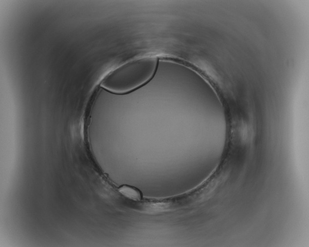 X0000115391173200911101446
