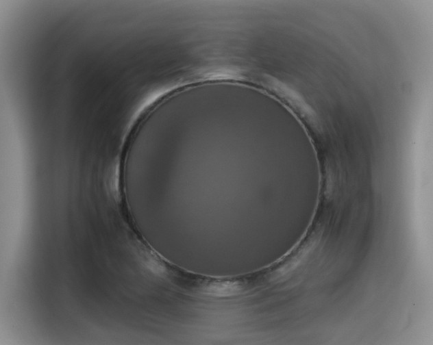 X0000115391174200911101446
