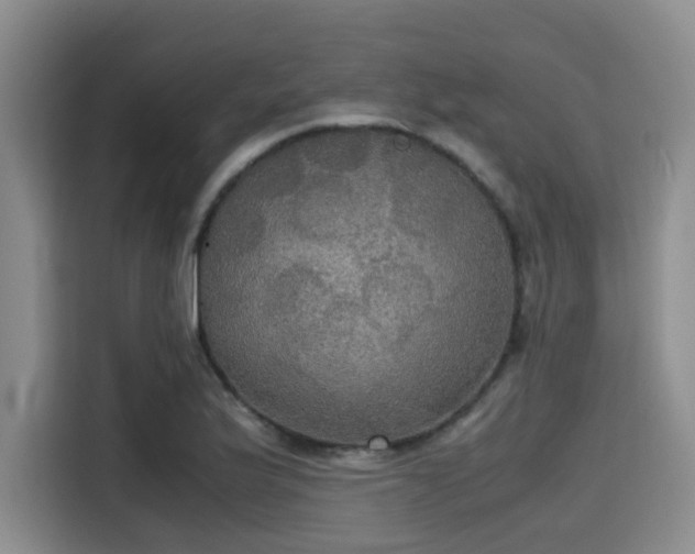 X0000115391175200911101446
