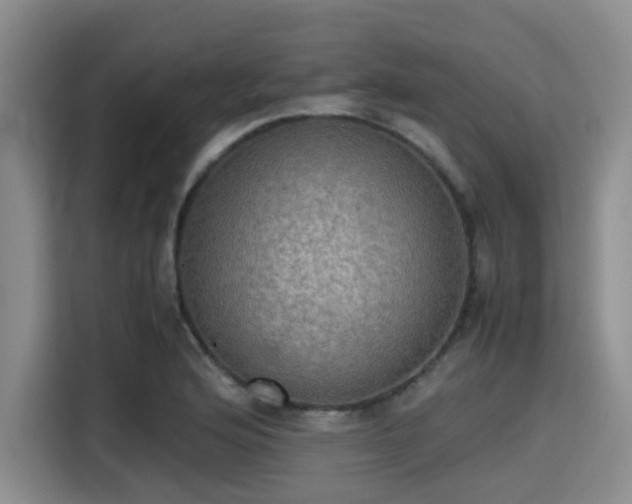 X0000115391176200911101446