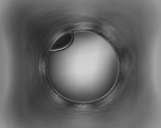 X0000115391177200911101446