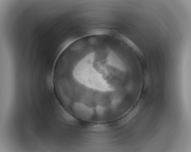 X0000115391178200911101446