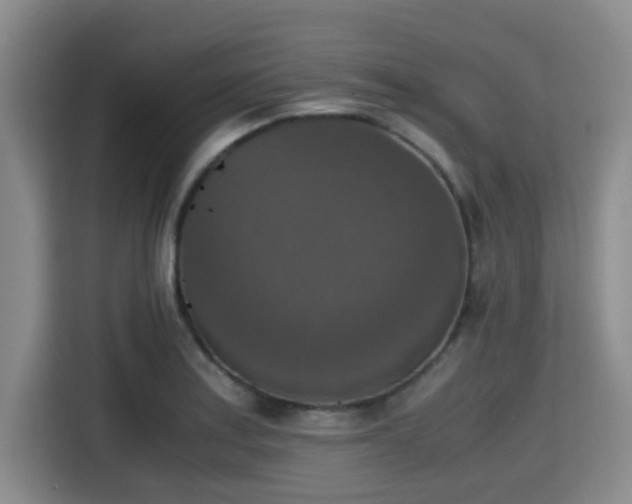 X0000115391179200911101446