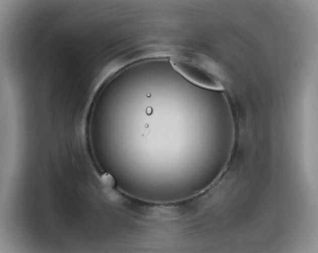 X0000115391181200911101446