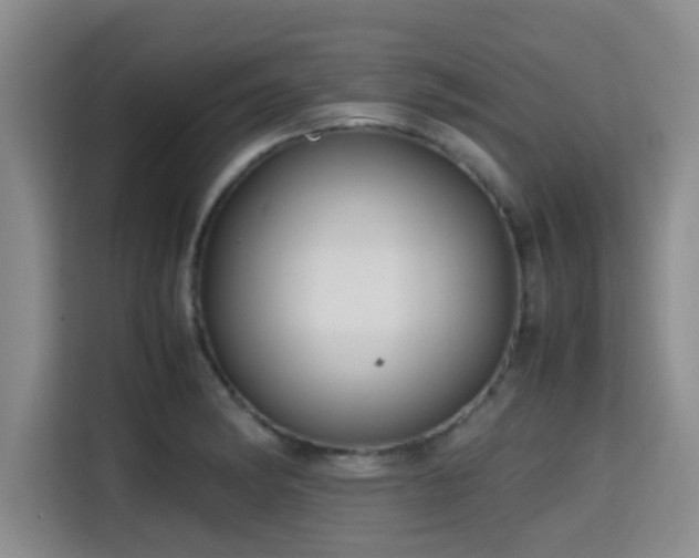 X0000115391182200911101446