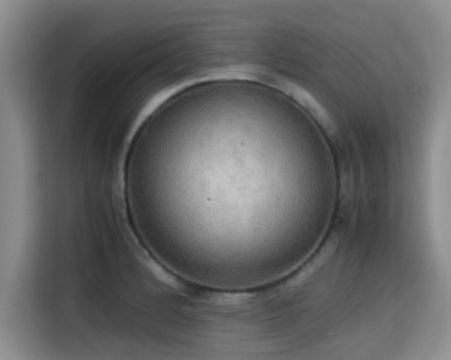 X0000115391184200911101446