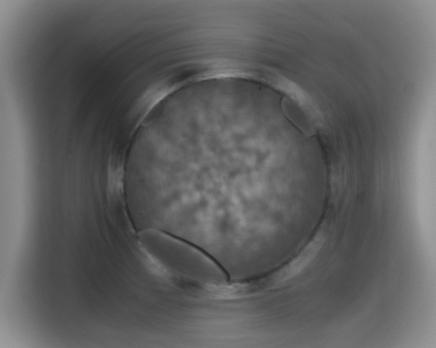 X0000115391185200911101446