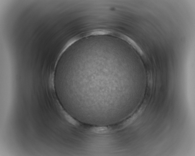 X0000115391186200911101446