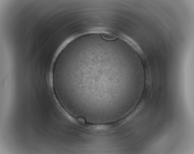X0000115391188200911101446