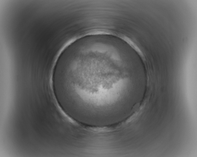 X0000115391189200911101446