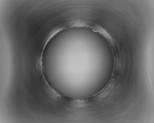 X0000115391190200911101446