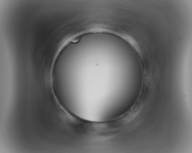 X0000115391191200911101446