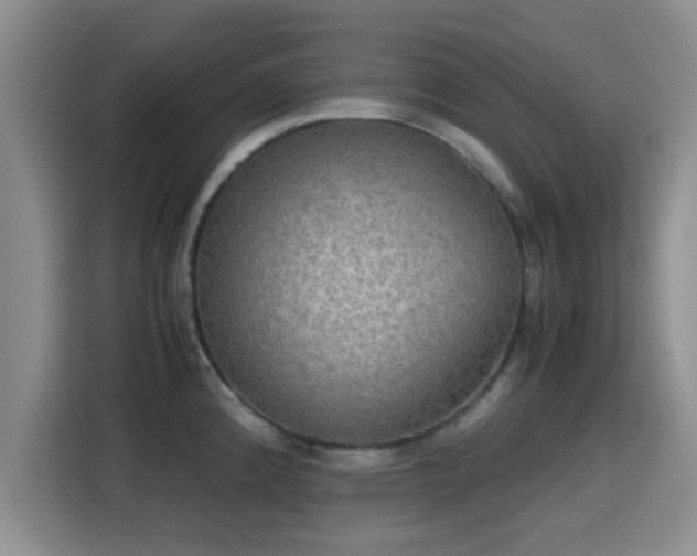 X0000115391192200911101446