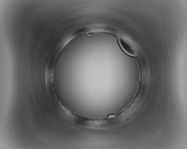 X0000115391193200911101446