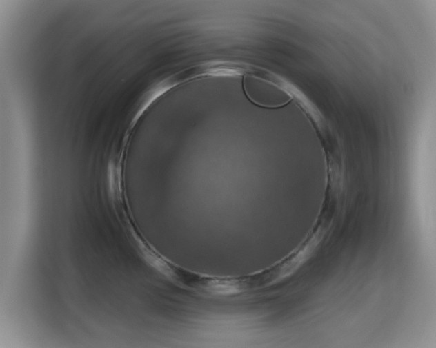 X0000115391194200911101446