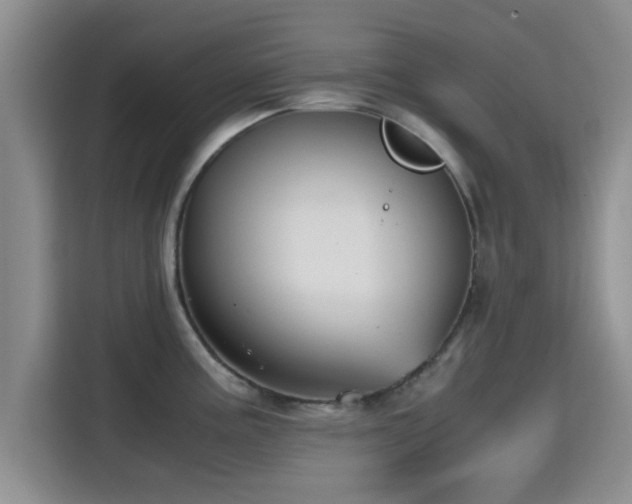 X0000115391195200911101446